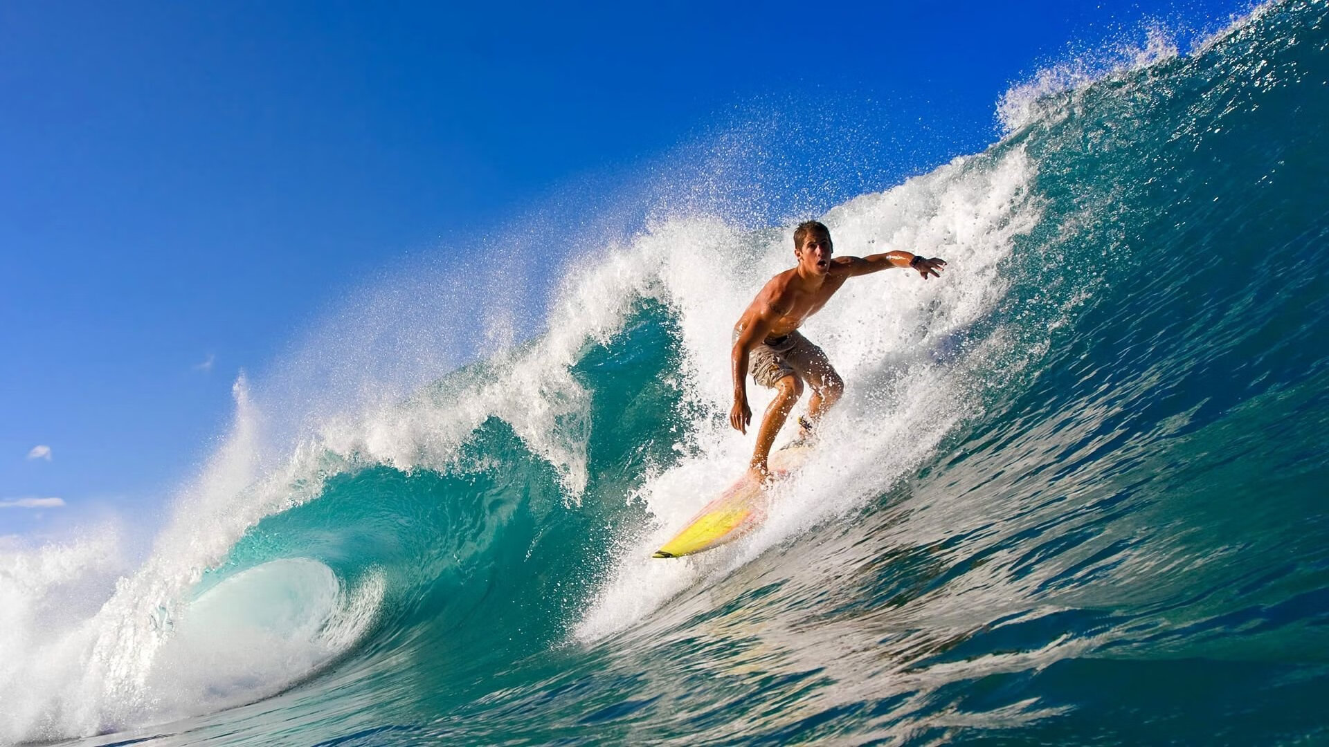 星空中国官网-智能乒乓球机器人成为职业选手的训练伙伴,人工智能乒乓球机器人视频